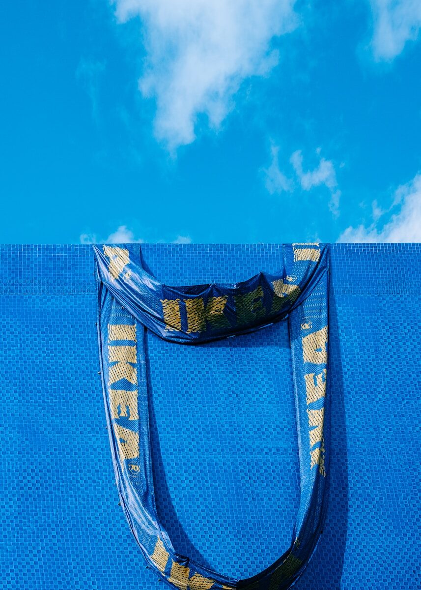 Le fameux sac bleu d'IKEA